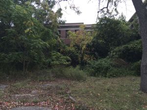 The abandoned Kings Park Psychiatric Center, Long Island